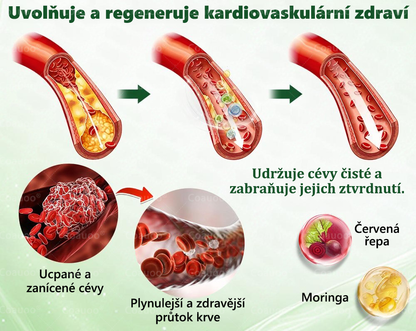 🧑‍⚕️𝐂𝐨𝐚𝐮𝐨𝐨® 𝐌𝐨𝐫𝐢𝐧𝐠𝐚 × 𝐁𝐞𝐫𝐛𝐞𝐫𝐲𝐧𝐚 × 𝐀𝐌𝐏𝐊 𝟏𝟎 v 1 – Zeštíhlující nano mikrojihlový náplast 🇨🇿 Jen 1× denně ✅ Viditelné změny za 7 dní – na obezitu, kardiovaskulární zdraví, diabetes a kloubní problémy