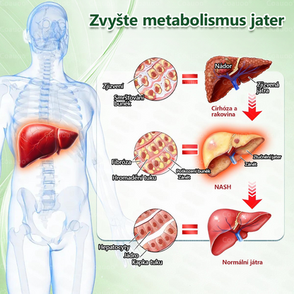 🧑‍⚕️𝐂𝐨𝐚𝐮𝐨𝐨® 𝐌𝐨𝐫𝐢𝐧𝐠𝐚 × 𝐁𝐞𝐫𝐛𝐞𝐫𝐲𝐧𝐚 × 𝐀𝐌𝐏𝐊 𝟏𝟎 v 1 – Zeštíhlující nano mikrojihlový náplast 🇨🇿 Jen 1× denně ✅ Viditelné změny za 7 dní – na obezitu, kardiovaskulární zdraví, diabetes a kloubní problémy