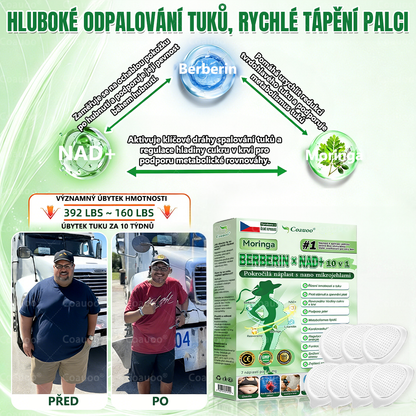 🧑‍⚕️𝐂𝐨𝐚𝐮𝐨𝐨® 𝐌𝐨𝐫𝐢𝐧𝐠𝐚 × 𝐁𝐞𝐫𝐛𝐞𝐫𝐲𝐧𝐚 × 𝐀𝐌𝐏𝐊 𝟏𝟎 v 1 – Zeštíhlující nano mikrojihlový náplast 🇨🇿 Jen 1× denně ✅ Viditelné změny za 7 dní – na obezitu, kardiovaskulární zdraví, diabetes a kloubní problémy